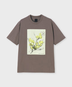 コットンシルケット 天竺 Tシャツ.2 / ウルクル