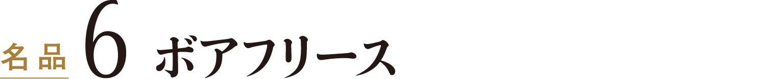 名品6ボアフリース
