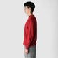 GIZA COTTON CREW NECK SWEATER
