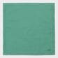 PICOT STITCH COLOR HANDKERCHIEF