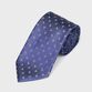 ペイズリー柄 タイ