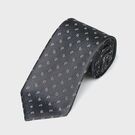 ペイズリー柄 タイ