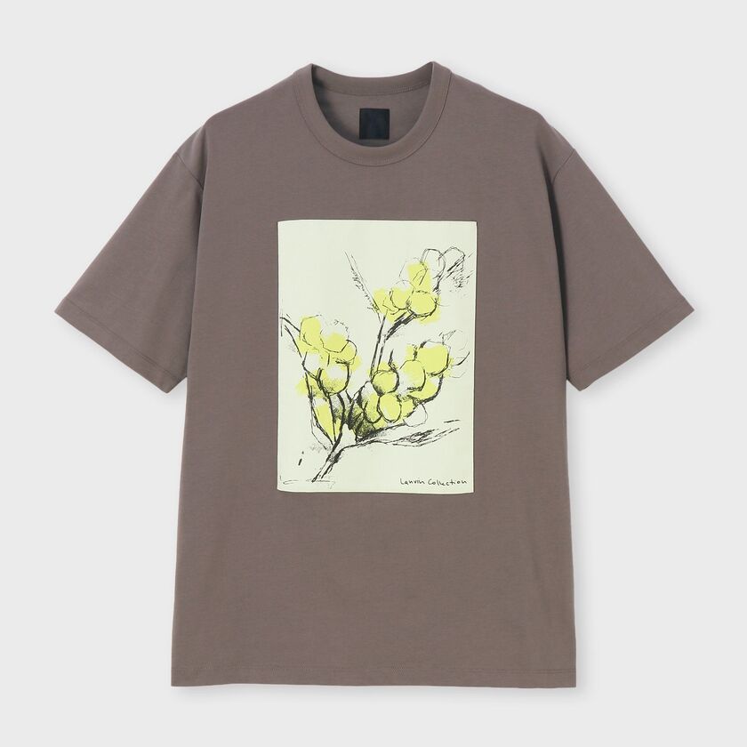 コットンシルケット 天竺 Tシャツ.2 / ウルクル