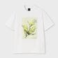 コットンシルケット 天竺 Tシャツ.2 / ウルクル