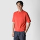 SOMERSET FLY FRONT POLO KNIT [サマセット ポロニット]